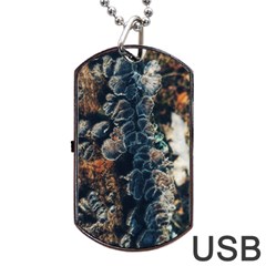 Tree Fungus Branch Vertical Dog Tag Usb Flash (two Sides) by okhismakingart