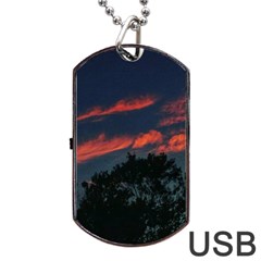 Pink Streaks Dog Tag Usb Flash (one Side) by okhismakingart