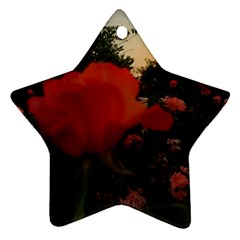 Rose Landscape Star Ornament (two Sides) by okhismakingart