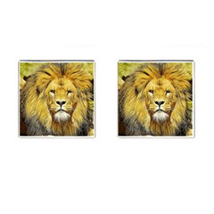 Lion Lioness Wildlife Hunter Cufflinks (square) by Pakrebo