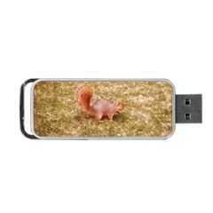 Squirrel Portable Usb Flash (one Side) by Riverwoman