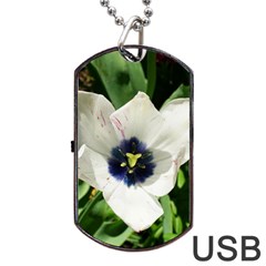 Blue Centered Tulip Dog Tag Usb Flash (two Sides) by okhismakingart