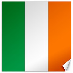 Flag Of Ireland Irish Flag Canvas 16  X 16  by FlagGallery