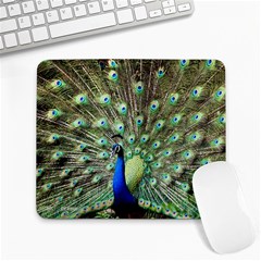 Blue And Green Peacock Large Mousepads by Pakrebo