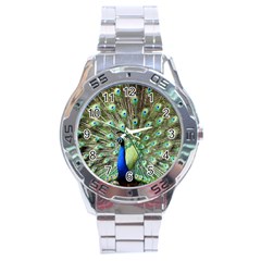 Blue And Green Peacock Stainless Steel Analogue Watch by Pakrebo