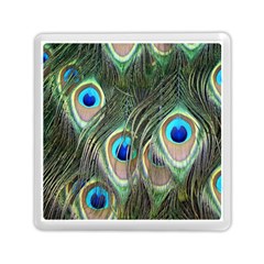 Peacock Feathers Peacock Bird Memory Card Reader (square) by Wegoenart