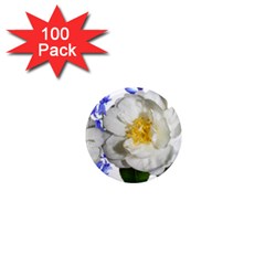 Flowers Camellia Bluebells Fragrant 1  Mini Magnets (100 Pack)  by Pakrebo