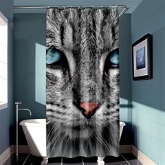 Cat Animal Cat Portrait Mackerel Shower Curtain 36  X 72  (stall)  by Sudhe