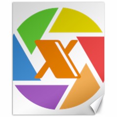 Xcoin Logo 200x200 Canvas 11  X 14  by Ipsum