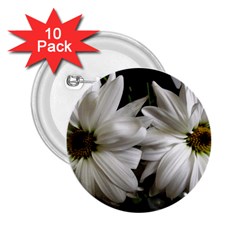 Daisies 2 25  Buttons (10 Pack)  by bestdesignintheworld