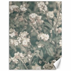 Beauty Floral Scene Photo Canvas 12  X 16  by dflcprintsclothing