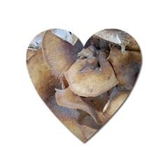 Close Up Mushroom Abstract Heart Magnet by Fractalsandkaleidoscopes