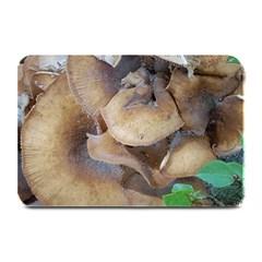 Close Up Mushroom Abstract Plate Mats by Fractalsandkaleidoscopes