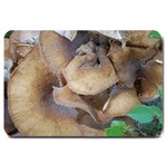 Close Up Mushroom Abstract Large Doormat  30 x20  Door Mat