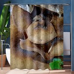 Close Up Mushroom Abstract Shower Curtain 60  x 72  (Medium)  60 x72  Curtain