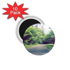 Photo Vue Sur Forêt  1 75  Magnets (10 Pack)  by kcreatif