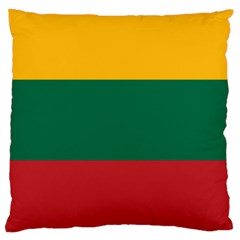 Lithuania Flag Large Cushion Case (one Side) by FlagGallery