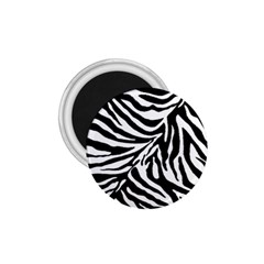 Zebra 1 1 75  Magnets by dressshop