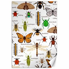 Insects Seamless Pattern Canvas 20  X 30  by Vaneshart