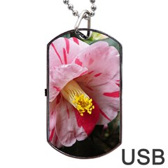 Striped Pink Camellia Ii Dog Tag Usb Flash (two Sides) by okhismakingart