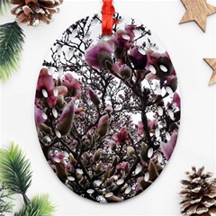 Saucer Magnolia Tree Ii Ornament (oval Filigree) by okhismakingart