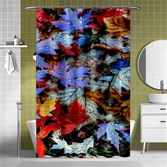 Rainbow Season Shower Curtain 48  X 72  (small)  by Sparkle