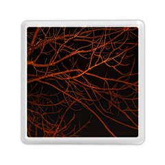 Dark Forest Scene Print Memory Card Reader (square) by dflcprintsclothing