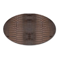 Brown Alligator Leather Skin Oval Magnet by LoolyElzayat