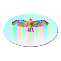 Rainbow Bird Oval Magnet by Sparkle