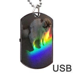 Rainbowcat Dog Tag Usb Flash (two Sides) by Sparkle