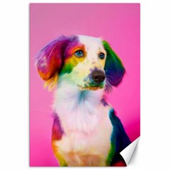 Rainbowdog Canvas 20  X 30  by Sparkle