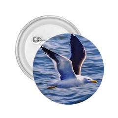 Seagull Flying Over Sea, Montevideo, Uruguay 2 25  Buttons by dflcprintsclothing