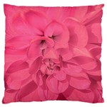 Beauty Pink Rose Detail Photo Standard Flano Cushion Case (Two Sides) Front