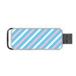 Transgender Pride Diagonal Stripes Pattern Portable USB Flash (Two Sides) Front