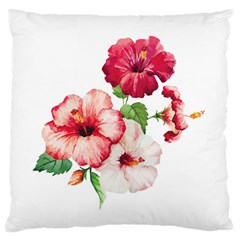 Flawers Standard Flano Cushion Case (one Side) by goljakoff