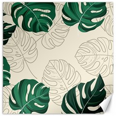 Green Monstera Leaf Illustrations Canvas 16  X 16  by HermanTelo