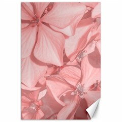 Coral Colored Hortensias Floral Photo Canvas 20  X 30  by dflcprintsclothing