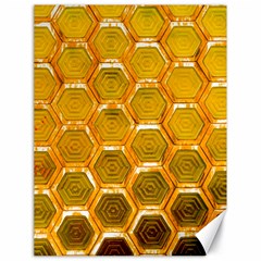 Hexagon Windows Canvas 18  X 24  by essentialimage