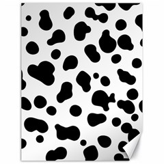 Spots Canvas 18  X 24  by Sobalvarro