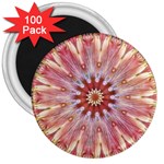 Pink Beauty 1 3  Magnets (100 pack) Front