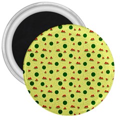 Watermelon 3  Magnets by UniqueThings