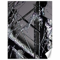 Ag Cobwebs Canvas 12  X 16  by MRNStudios