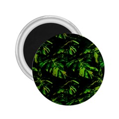 Jungle Camo Tropical Print 2 25  Magnets by dflcprintsclothing