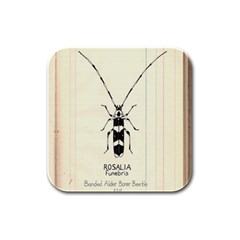 Banded Alder Borer  Rubber Square Coaster (4 Pack) by Limerence