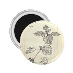 Lemon Balm 2 25  Magnets by Limerence