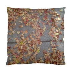 Sidewalk Leaves Standard Cushion Case (one Side) by SomethingForEveryone