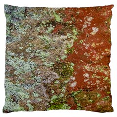 Colorful Abstract Texture Standard Flano Cushion Case (one Side) by dflcprintsclothing