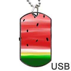 Painted Watermelon Pattern, Fruit Themed Apparel Dog Tag Usb Flash (one Side) by Casemiro