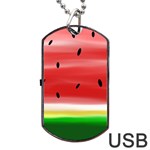 Painted watermelon pattern, fruit themed apparel Dog Tag USB Flash (One Side) Front