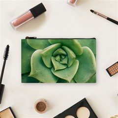 Echeveria Imbricata Closeup Photo Cosmetic Bag (small) by dflcprintsclothing